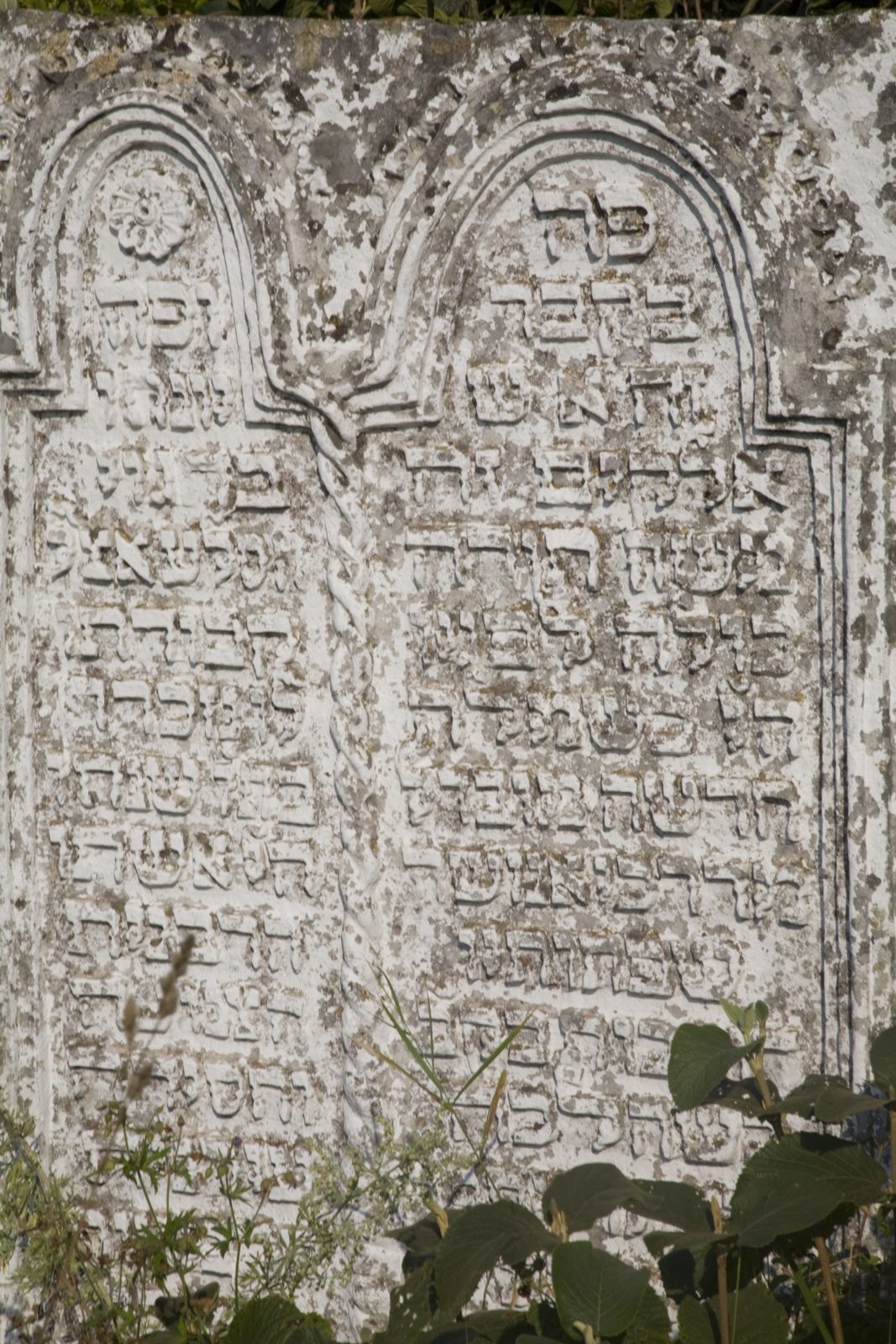 Bet-Hayyim — Satiniv 139