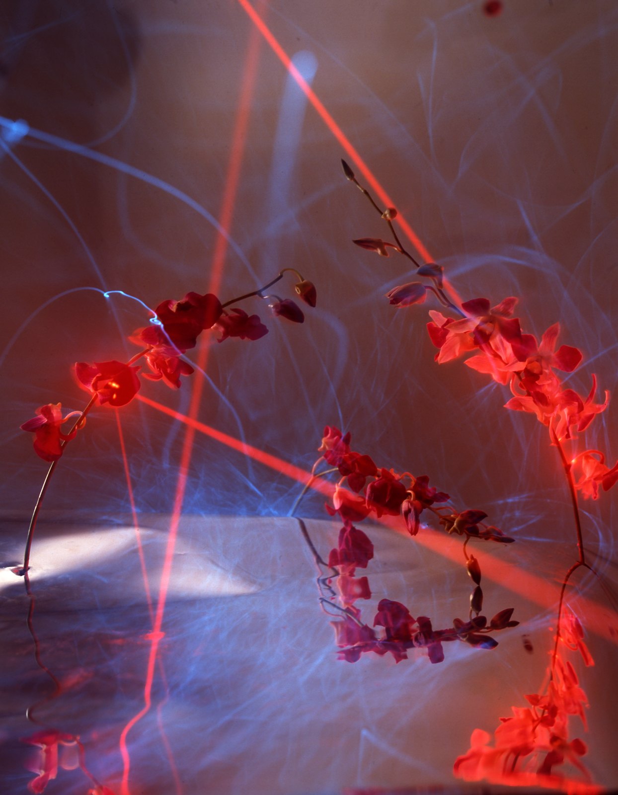 Light Drawings — Fiber