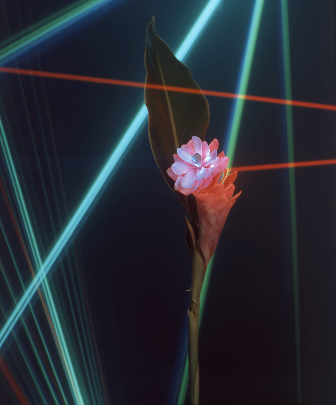 Light Drawings — Laser