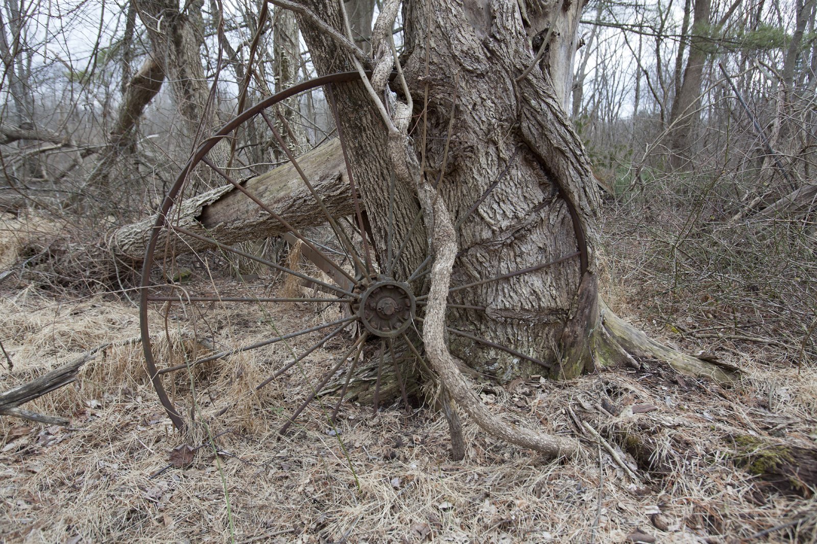 Urban Archeology & Modern Ruins — Elias Smith Charles Lena Lennington House