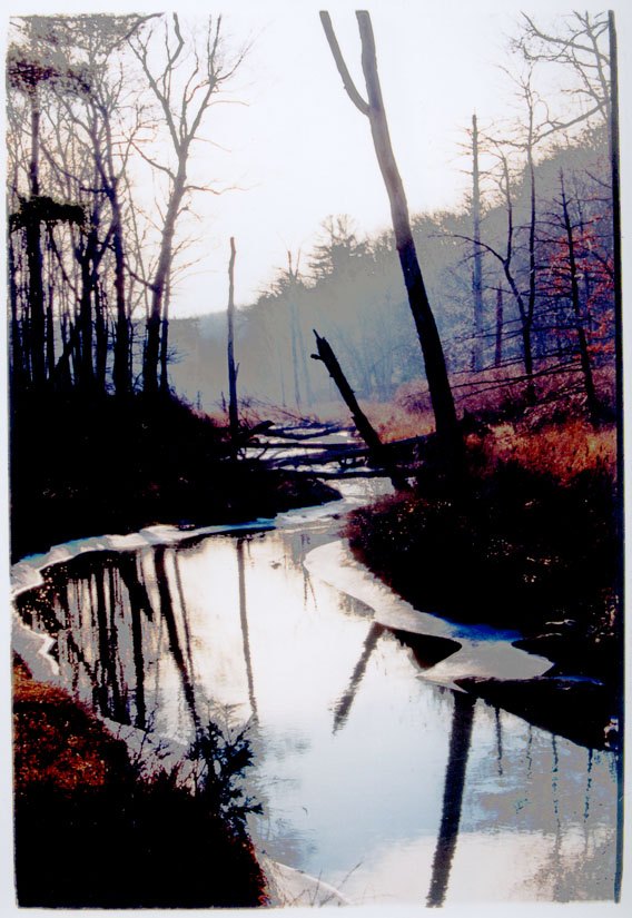 DANA'S WINTER