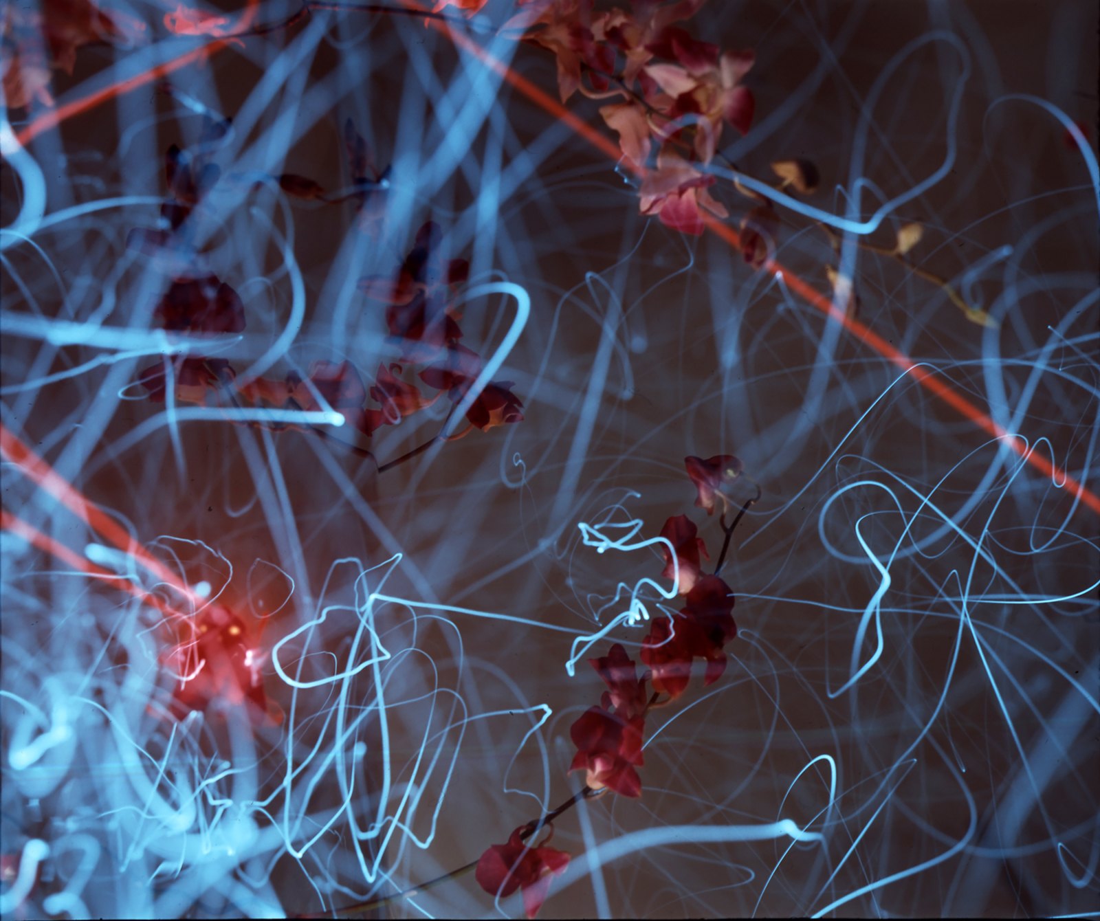 FIBER OPTIC